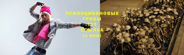 прущие крисы Алексеевка
