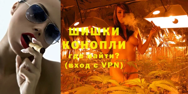 прущие грибы Абинск
