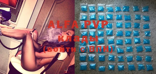 прущие грибы Абинск