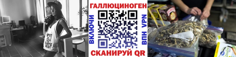 что такое   Туапсе  Галлюциногенные грибы мицелий 