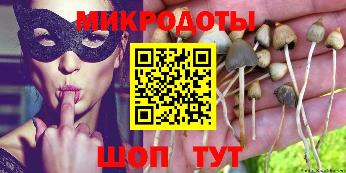 Псилоцибиновые грибы ЛСД Туапсе
