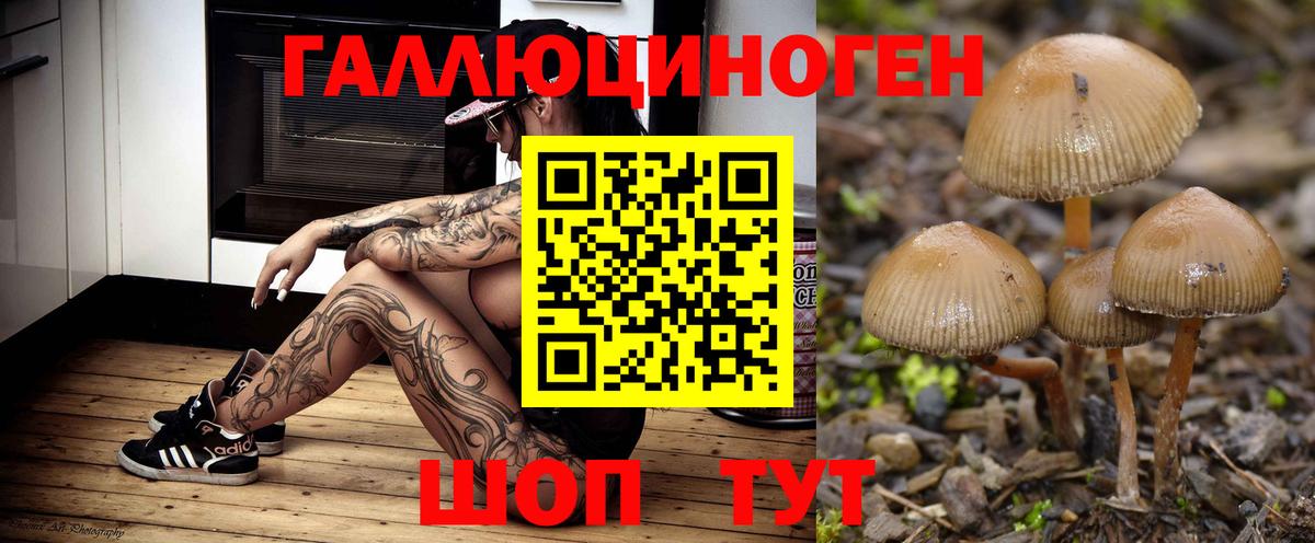 Псилоцибиновые грибы Psilocybine cubensis  Вход с VPN  Туапсе 